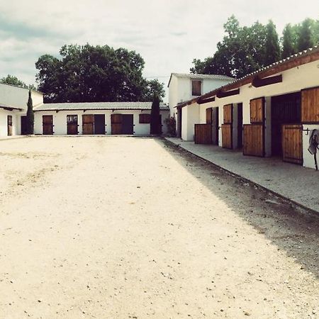 Maison Au Milieu Des Chevaux L'Isle-sur-la-Sorgue Exterior photo